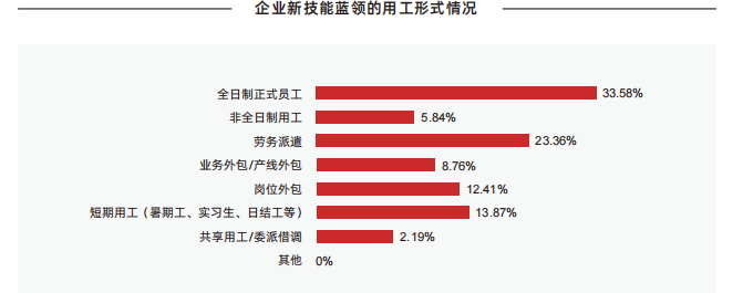 新技能蓝领用工形式情况.png